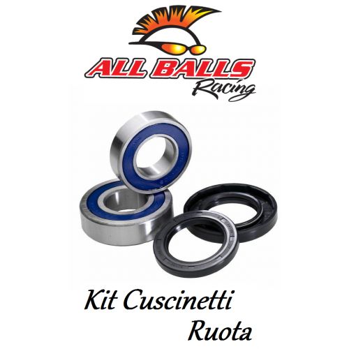 ALL BALLS 25-1404 Kit Cuscinetti Ruota Anteriore / Posteriore