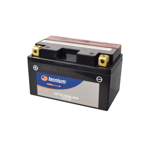 TECNIUM BATTERIA pre-attivata senza manutenzione BTZ10S