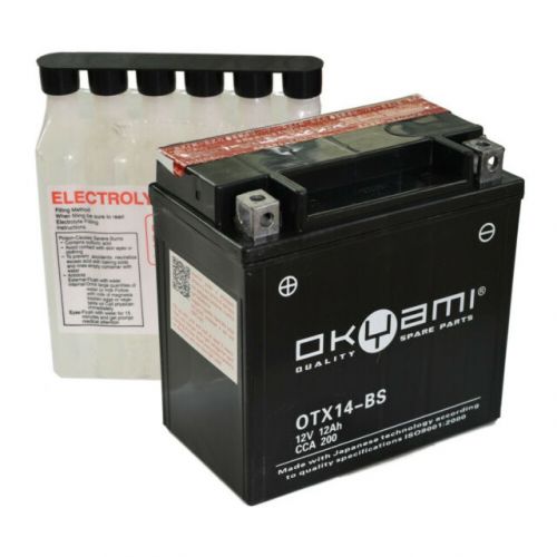 BATTERIA OKYAMI OTX14-BS con acido