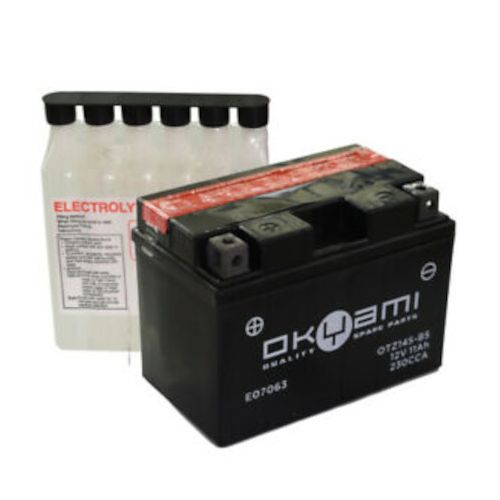 BATTERIA OKYAMI OTZ14S-BS con acido