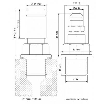 STAHLBUS SB-120111 VALVOLA SPURGO RAPIDO FRENO - FRIZIONE M12 x 1 x 10