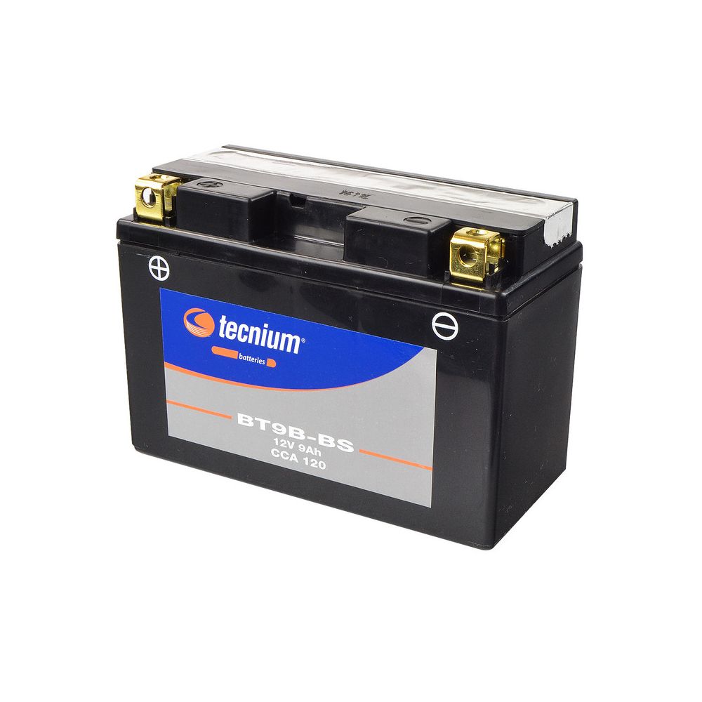 TECNIUM BATTERIA Senza Manutenzione BT9B-BS