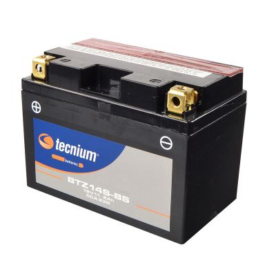 Tecnium Batteria Senza manutenzione con Acido BTZ14S-BS