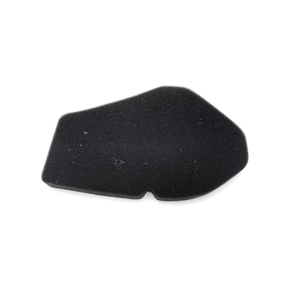 Filtro aria TECNIUM per SUZUKI BURGMAN 125 2002 / 2006