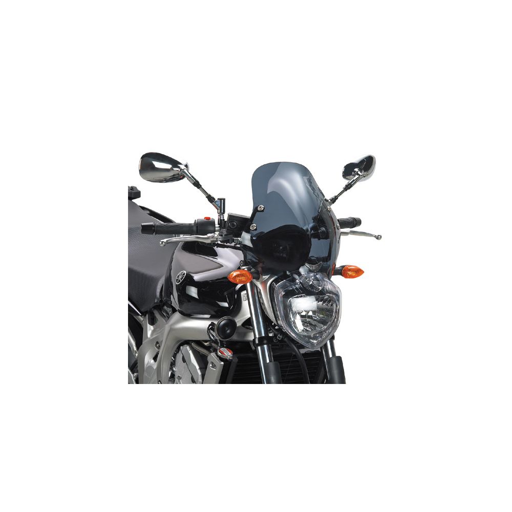 Cupolino GIVI 140D Fumé con Attacchi Specifici D140KIT per Yamaha FZ6