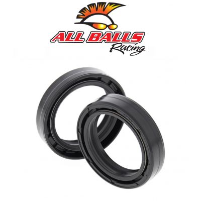 All Balls 55-119 Kit Paraoli Forcella 41x54x11
