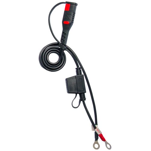 Carica batteria intelligente Pro BS Battery BS 60 12V - 1/4/6A