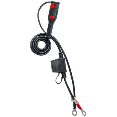 Carica batteria intelligente Pro BS Battery BS 60 12V - 1/4/6A