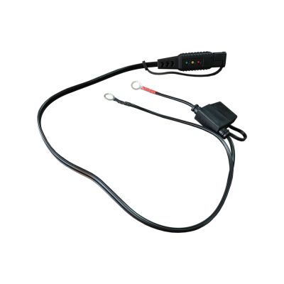 Indicatore di stato della batteria BS BATTERY BT 03