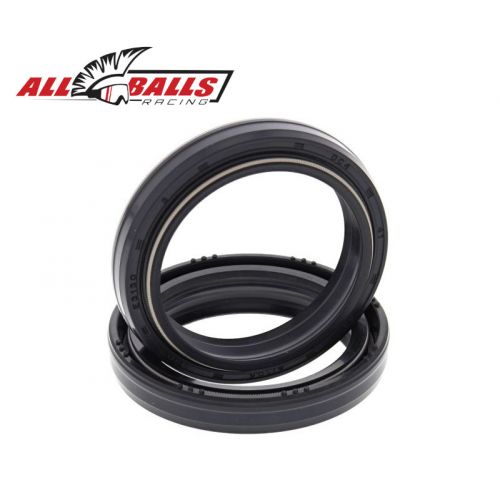 ALL BALLS 55-117 Kit paraoli forcella 41x53x8/10.5