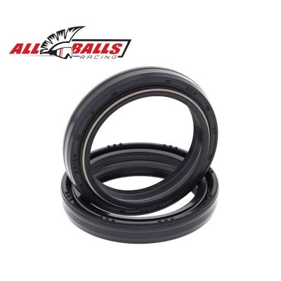 ALL BALLS 55-117 Kit paraoli forcella 41x53x8/10.5