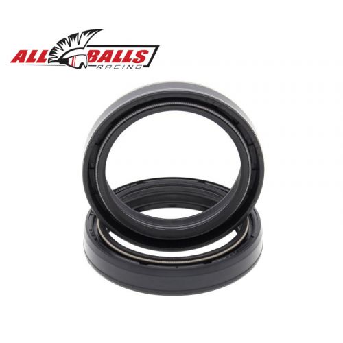 ALL BALLS 55-123 Kit paraoli forcella 43x55x9.5/10