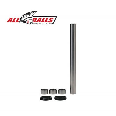ALL BALLS 28-1227 Kit cuscinetti forcellone
