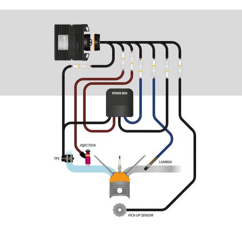 Kit Centralina RAPID BIKE RACING con Cablaggio specifico per HONDA AFRICA TWIN 1000 2016