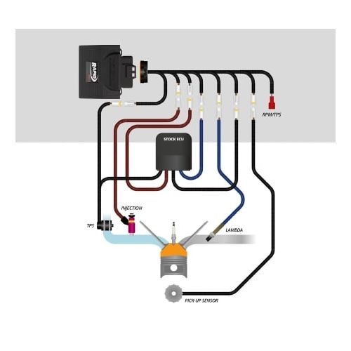 Kit Centralina RAPID BIKE EVO 2 con Cablaggio specifico per HONDA CRF L AFRICA TWIN 1100 / Adventure / DCT 2024 / 2025