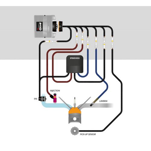 Kit Centralina RAPID BIKE EVO con Cablaggio specifico per HONDA X-ADV 750 2017