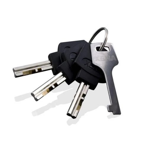 Lucchetto Bloccadisco XENA X1 Pushdown Locking