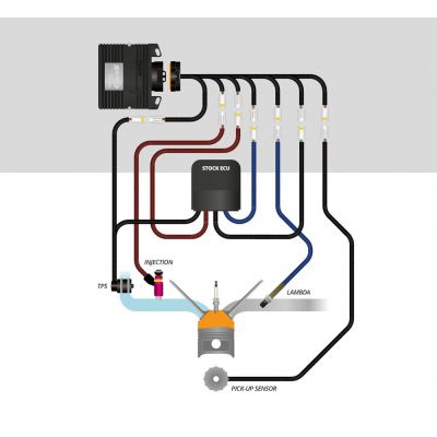 Kit Centralina RAPID BIKE RACING con Cablaggio specifico per YAMAHA MT-09 2021 / 2022