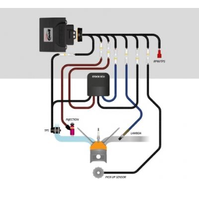Kit Centralina RAPID BIKE RACING 2 EXCLUSIVE con Cablaggio specifico per YAMAHA MT-09 2021 / 2025