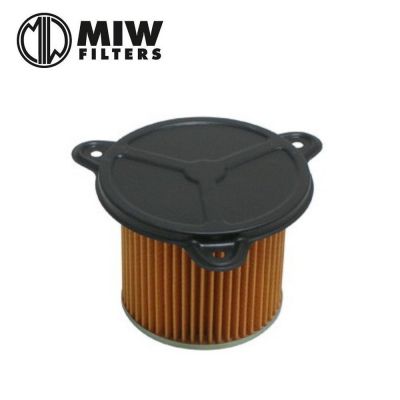 Filtro Aria MIW H1167