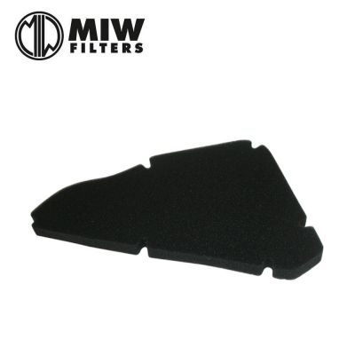 Filtro Aria MIW P5134