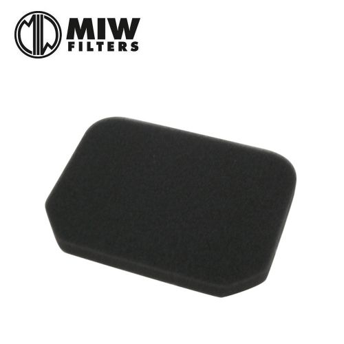Filtro Aria MIW S3173