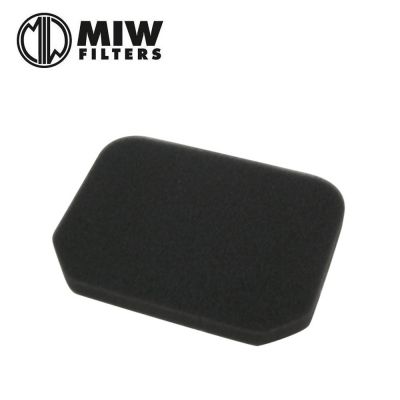 Filtro Aria MIW S3173