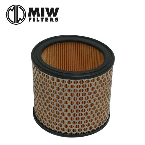 Filtro Aria MIW P5109