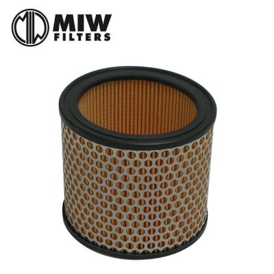 Filtro Aria MIW P5109