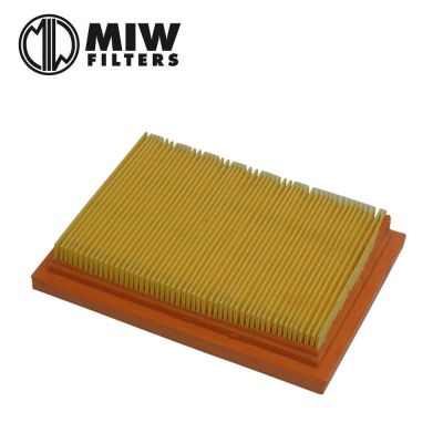 Filtro Aria MIW P5123