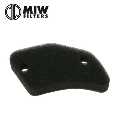 Filtro Aria MIW P5148