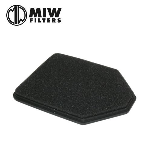 Filtro Aria MIW D6103