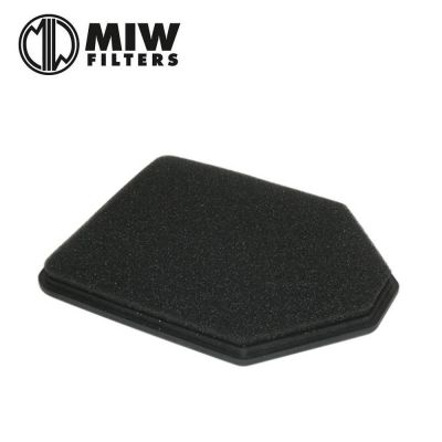 Filtro Aria MIW D6103
