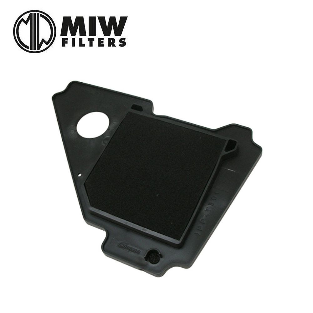 Filtro Aria MIW Y4197