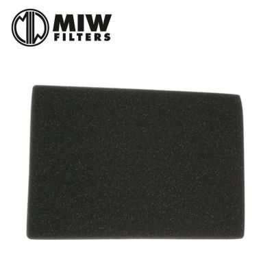 Filtro Aria MIW P5117