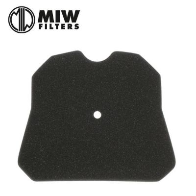 Filtro Aria MIW P5125