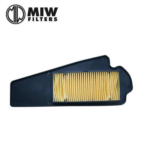 Filtro Aria MIW PG34109