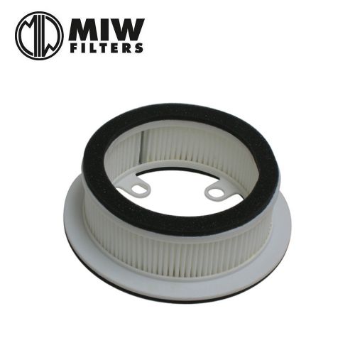 Filtro Aria MIW Y4210