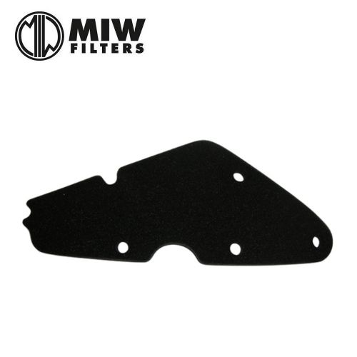 Filtro Aria MIW P5156