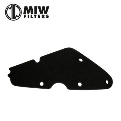 Filtro Aria MIW P5156