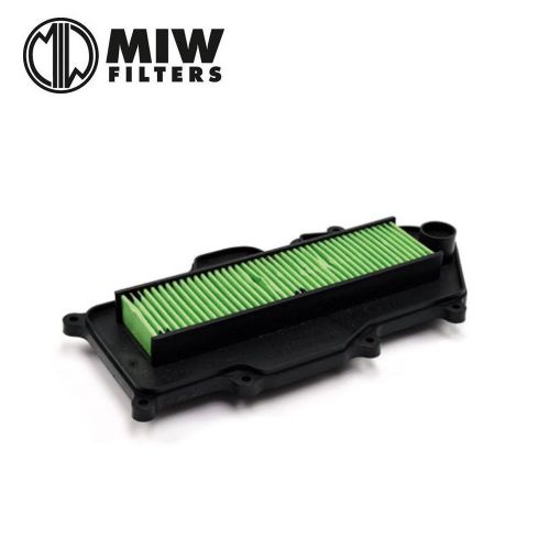 Filtro Aria MIW P5162