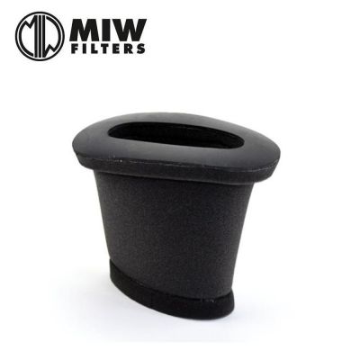 Filtro Aria MIW BE12904