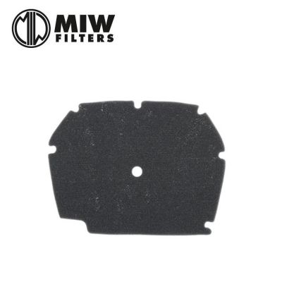 Filtro Aria MIW BE12907