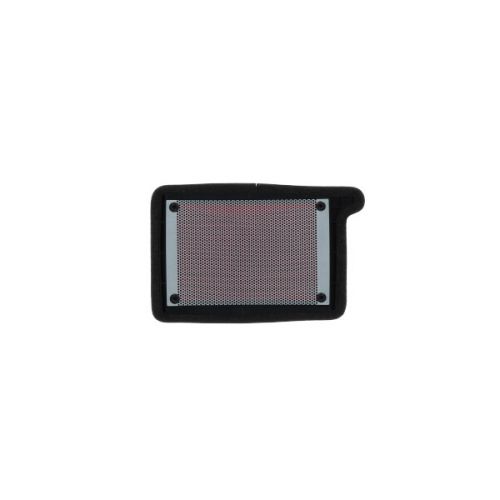Filtro Aria MIW T23117