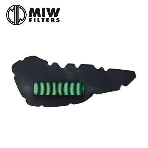 Filtro Aria MIW P5167