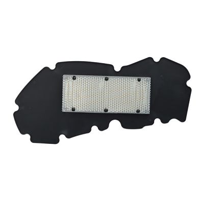 Filtro Aria MIW P5170