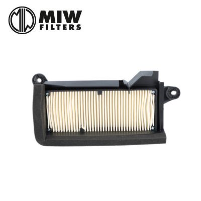 Filtro Aria MIW Y4291