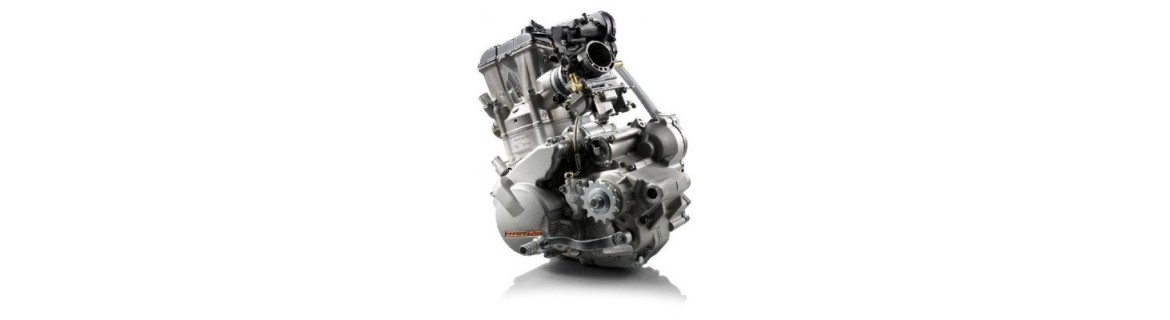 Accessori e Ricambi Motore KTM SUPERMOTO 690 / R