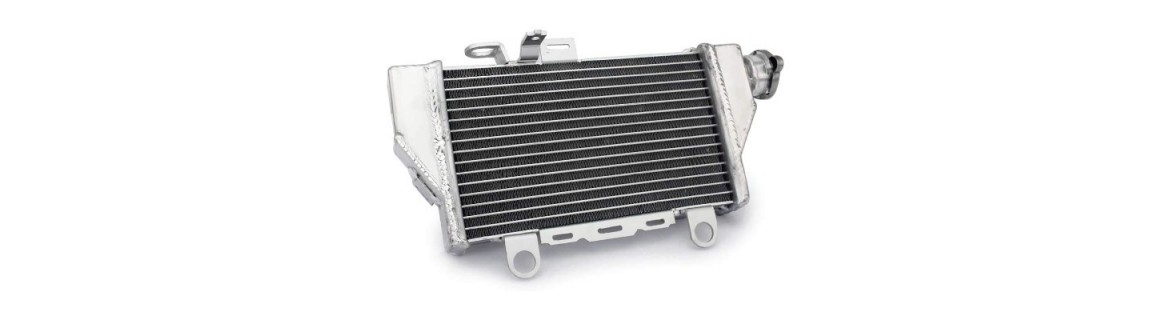 Radiatore e Refrigerante