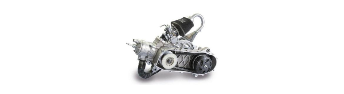 Vendita Accessori e Ricambi Motore per Honda SH 150